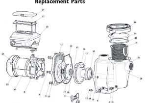 Pentair Intelliflo Wiring Diagram Pentair Pool Pump Wiring Diagram Chevrolet Blazer Wiring Harness Pentair Intelliflo Wiring Diagram Pentair Pool Pump Wiring Diagram Chevrolet Blazer Wiring Harness