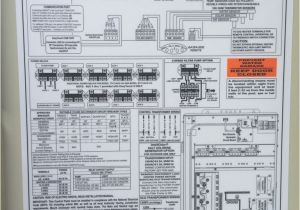 Pentair Pool Light Wiring Diagram Pentair Pool Spa Wiring Diagram Wiring Diagram tools