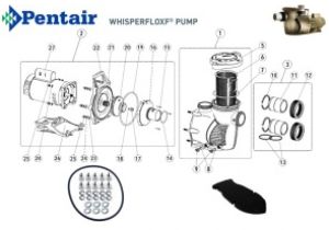 Pentair Pool Pump Wiring Diagram Whisperflo Wiring Diagram Wiring Diagram Info