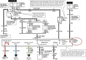 Peterbilt Cruise Control Wiring Diagram Oldsmobile Cruise Control Wiring Diagram Wiring Diagram Peterbilt Cruise Control Wiring Diagram Oldsmobile Cruise Control Wiring Diagram Wiring Diagram