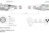 Peterbilt Starter Wiring Diagram Allen Bradley Motor Starter Wiring Diagram Wiring Diagram