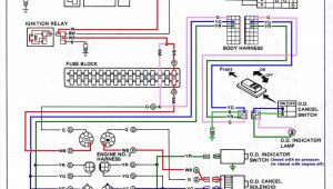 Peugeot 307 Wiring Diagram Acro Hid Light Wiring Diagram Wiring Diagram Name