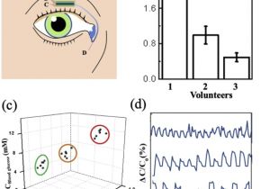 Photo Eye Sensor Wiring Diagram Wearable Eye Health Monitoring Sensors Based On Peacock Tail Photo Eye Sensor Wiring Diagram Wearable Eye Health Monitoring Sensors Based On Peacock Tail