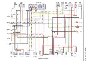 Piaggio Zip 50 2t Wiring Diagram Piaggio Wiring Harness Wiring Diagram Show