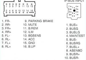 Pioneer 16 Pin Wiring Harness Diagram Pioneer Deh 16 Wiring Diagram Wiring Diagram Review