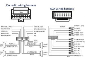 Pioneer Avh 291bt Wiring Diagram 17 Inspirational Wiring Diagram Ecu Vixion Girlscoutsppc Pioneer Avh 291bt Wiring Diagram 17 Inspirational Wiring Diagram Ecu Vixion Girlscoutsppc