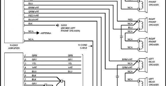 Pioneer Avh P2300dvd Wiring Harness Diagram Avh P2300dvd Wiring Harness Wiring Diagram Fascinating