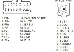 Pioneer Avh-p3100dvd Wiring Diagram Pioneer Avh P3100dvd Wiring Diagram Eyelash Me Pioneer Avh-p3100dvd Wiring Diagram Pioneer Avh P3100dvd Wiring Diagram Eyelash Me