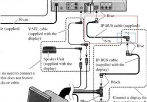 Pioneer Avh P4050dvd Wiring Diagram solved Rca Inputs for Pioneer Avm P100 Fixya