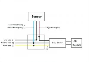 Pir Detector Wiring Diagram Light Sensor Wiring Diagram 110 Wiring Diagram Db Pir Detector Wiring Diagram Light Sensor Wiring Diagram 110 Wiring Diagram Db