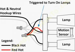 Pir Floodlight Wiring Diagram Light Sensor Wiring Diagram Wiring Diagram Technic