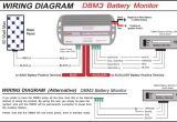Piranha Dual Battery System Wiring Diagram Piranha Alarm Wiring Diagram Bertemu Co