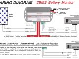 Piranha Dual Battery System Wiring Diagram Piranha Alarm Wiring Diagram Bertemu Co