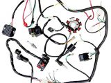 Pit Bike Wiring Diagram Electric Start Amazon Com Jikan Annpee Complete Electrics Wiring Harness Wire Loom