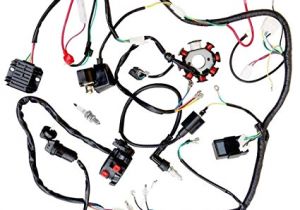 Pit Bike Wiring Diagram Electric Start Amazon Com Jikan Annpee Complete Electrics Wiring Harness Wire Loom
