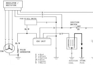 Pit Bike Wiring Diagram Electric Start Ooracing Performance Monkey Bike Pit Bike Madass Zoomer Dirt