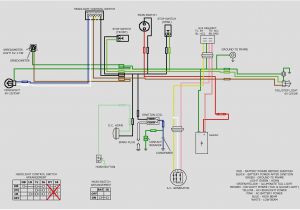 Pit Bike Wiring Diagram Electric Start Pit Bike Wiring Diagram Electric Start Beautiful Pit Bike Wiring