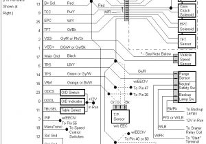 Pm710 Wiring Diagram Pm710 Wiring Diagram Wire Diagram Pm710 Wiring Diagram Pm710 Wiring Diagram Wire Diagram