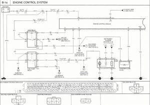 Pnoz S4 Wiring Diagram Pilz Relay Wiring Diagram Wiring Library