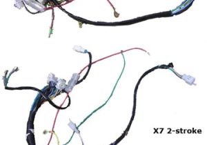 Pocket Bike Wiring Diagram 49cc Pocket Bike Wiring Harness Wiring Diagram Paper
