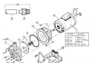 Polaris Booster Pump Pb4 60 Wiring Diagram Zodiac P20 1 8 Inch Nptm Plastic Plug Replacement Polaris Booster Pump Pb4 60 Wiring Diagram Zodiac P20 1 8 Inch Nptm Plastic Plug Replacement