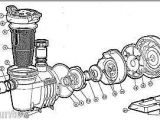 Polaris Pb4 Booster Pump Wiring Diagram Polaris Pb4 Booster Pump Diagram Sevenpool