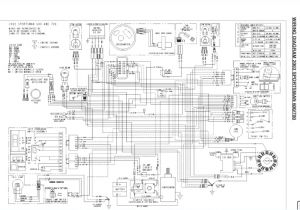 Polaris Predator 90 Wiring Diagram Polaris Scrambler Xp 1000 Wiring Diagram Wiring Diagram Expert