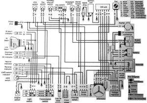 Polaris Sportsman 400 Wiring Diagram Polaris Rzr Switch Wiring Diagram Free Download Wiring Diagram Ame