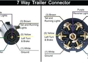 Pollak 7 Pin Trailer Wiring Diagram Six Rv Plug Wiring Diagram Way Wiring Diagrams Heavy Haulers