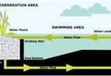 Pond Wiring Diagram Image Result for Filtration Diagram From Eko Pond to Pool Natural