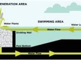 Pond Wiring Diagram Image Result for Filtration Diagram From Eko Pond to Pool Natural