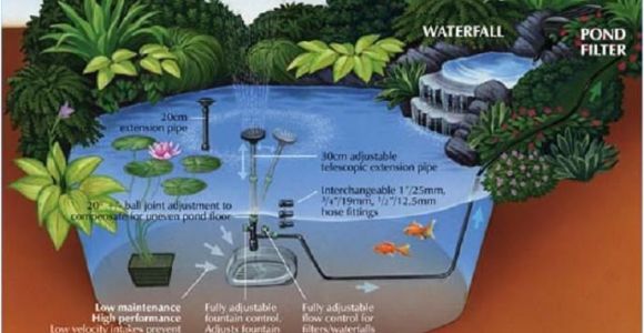 Pond Wiring Diagram Midipond Pond Diagram Fish Pond Technic Mini Pond Pond Aquarium