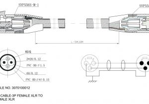Pool Pump Capacitor Wiring Diagram 220v Pool Pump Wiring Diagram Deathly Info Pool Pump Capacitor Wiring Diagram 220v Pool Pump Wiring Diagram Deathly Info