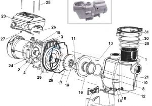 Pool Pump Motor Wiring Diagram Pentair Intelliflo Vf Parts Inyopools Com