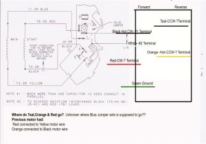 Pool Pump Timer Wiring Diagram Cover Pools Wiring Diagram Wiring Diagram Inside