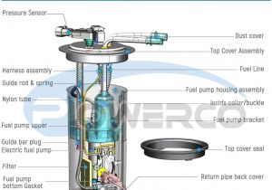 Powerco Fuel Pump Wiring Diagram Powerco Electric Fuel Pump Replacement for ford E 150 E250 2014 2013 2012 2011 V8 with Sending Unit E2581m W O Auxiliary Fuel Port Module Has 2 Tube