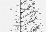 Pre Lit Christmas Tree Wiring Diagram Christmas Tree Wiring Diagram Free Download Schematic Wiring