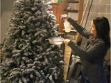 Pre Lit Christmas Tree Wiring Diagram Diy Flocked Christmas Tree Lovely Etc Pre Lit Christmas Tree Wiring Diagram Diy Flocked Christmas Tree Lovely Etc