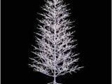 Pre Lit Christmas Tree Wiring Diagram Ge 7 Ft White Winterberry Branch Tree with Led Lights 21052hd the