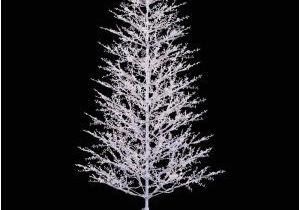 Pre Lit Christmas Tree Wiring Diagram Ge 7 Ft White Winterberry Branch Tree with Led Lights 21052hd the Pre Lit Christmas Tree Wiring Diagram Ge 7 Ft White Winterberry Branch Tree with Led Lights 21052hd the