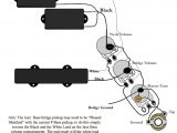 Precision Bass Wiring Diagram Squier P Bass Wiring Diagram Wiring Diagram Article Review
