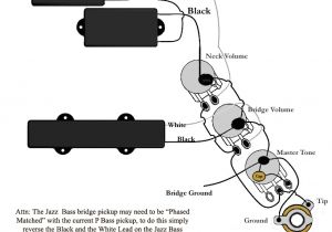 Precision Bass Wiring Diagram Squier P Bass Wiring Diagram Wiring Diagram Article Review