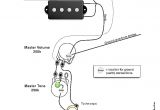 Precision Bass Wiring Diagram Squier P Bass Wiring Diagram Wiring Diagram Article Review