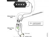 Precision Bass Wiring Diagram Squier P Bass Wiring Diagram Wiring Diagram Article Review