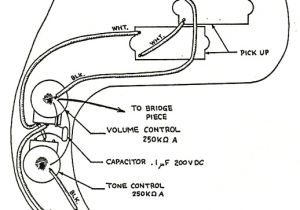 Precision Bass Wiring Diagram Squier P Bass Wiring Diagram Wiring Diagram Centre