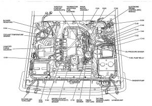 Precision Fuel Pump Wiring Diagram Wiring Diagram Along with 1995 ford F 150 Fuel Pump Relay Further
