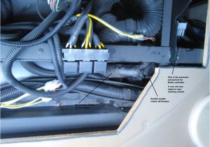 Predator Dx2 Brake Controller Wiring Diagram Curt Triflex Trailer Brake Controller 1 to 4 Axles Proportional