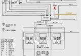 Predator Engine Wiring Diagram Polaris Virage Wiring Diagram Wiring Diagram Technic