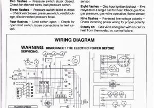 Proform Electric Fan Wiring Diagram Proform Electric Fan Wiring Diagram Beautiful Electric Fan Relay Proform Electric Fan Wiring Diagram Proform Electric Fan Wiring Diagram Beautiful Electric Fan Relay
