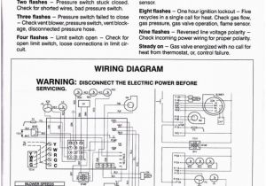 Proform Electric Fan Wiring Diagram Proform Electric Fan Wiring Diagram Beautiful Electric Fan Relay